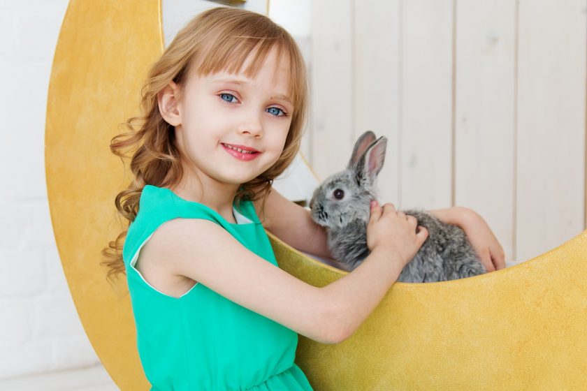 The choice of kindergarten – one of the most important decisions in the life of every parent