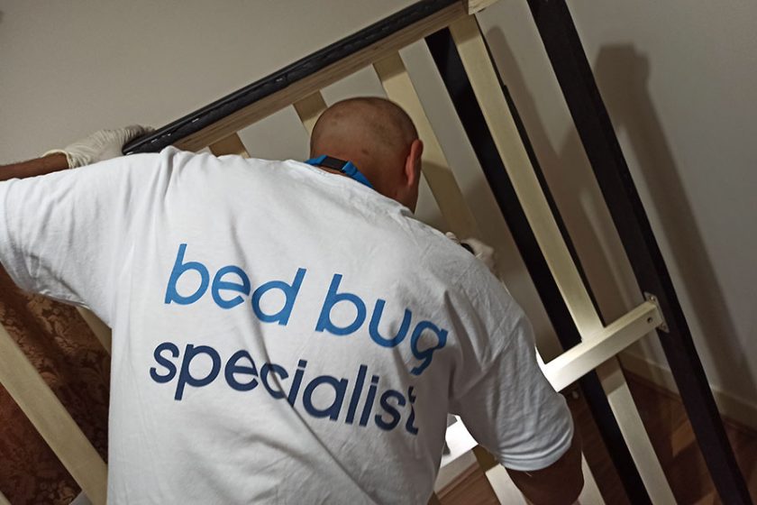Bed bug invasion? Not in your home